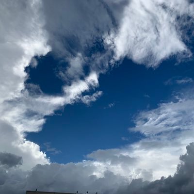 towa29374822's profile picture. fctokyo