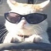 lba7ENEtMcKipF6's profile picture. 최연준이랑 도망간다