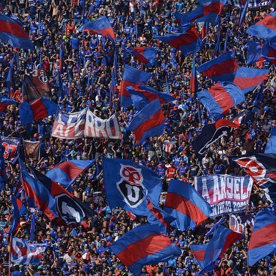 panxouu's profile picture. 🤘💙