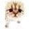 -juizy peachy- (@juizypeachy) Twitter profile photo -juizy peachy- (@juizypeachy) Twitter profile photo