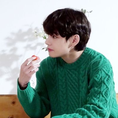 OT7 ~ Here for BTS only ~ No tolerance for Antis/Solos/Mantis