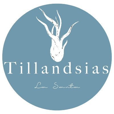 💚  Tillandsias Boutique. Puebla, Puebla.  💚