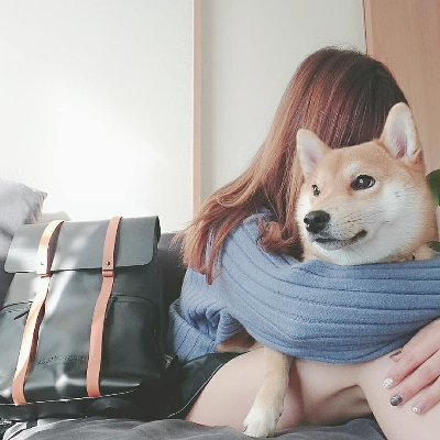 ちかさんぽ👣 (@chikasanpo) / Posts / X