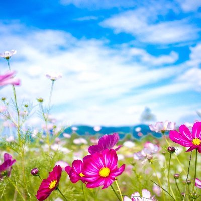 mdrazuahmad12's profile picture. I am young man