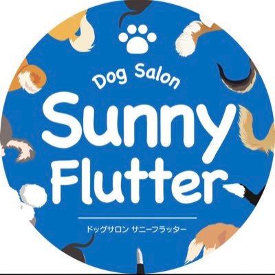 兵庫県伊丹市にあるアットホームなトリミングサロン&一時預かり、ペットホテル🐶 お家感覚で、ワンちゃんがリラックスできるサロン✨ 小型〜大型犬対応。高齢犬、持病あり、ご相談下さい✨ TEL080-3800-8601