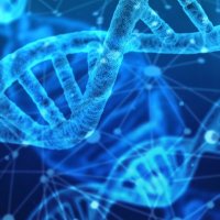 POP-GEM Lab (@popgem_lab) 's Twitter Profile Photo POP-GEM Lab (@popgem_lab) 's Twitter Profile Photo