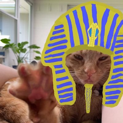 Sam

hats on cats

Account inspired by @chedstack