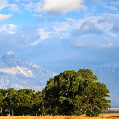 alharby_hasan's profile picture. ابحث عن زوجه