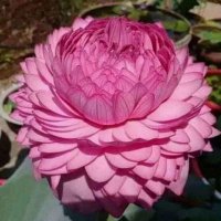 Mythil tweets (@mythiltweets) 's Twitter Profile Photo Mythil tweets (@mythiltweets) 's Twitter Profile Photo