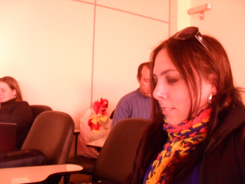 sou professora