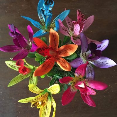 riroukalvaka's profile picture. Feminist.Educationist.Activist.Unionist