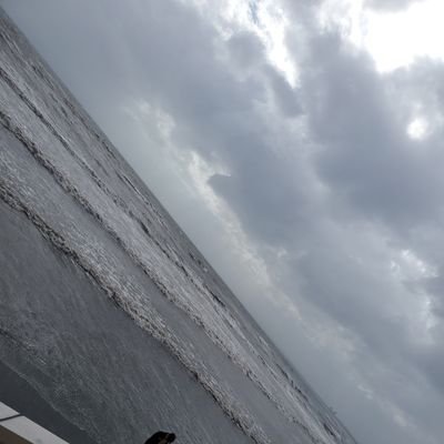hanisan6's profile picture. どーも