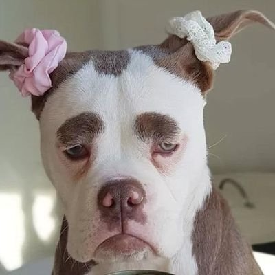 middlezolo's profile picture. 