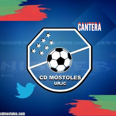 Cantera CD Móstoles URJC Profile