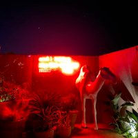 ses (@emircnartk) Twitter profile photo