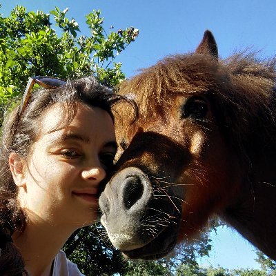 PhD Student working on Equine Cognition and the #HumanAnimalRelationship - #animalbehavior