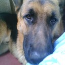 VICTOR MANUEL ROBAYO - @VICTORMANUELR12 - Twitter