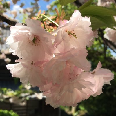 Teto170105's profile picture. 