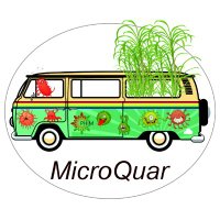 MicroQuar (@microquar) 's Twitter Profile Photo MicroQuar (@microquar) 's Twitter Profile Photo