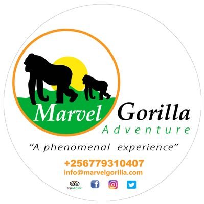 Marvel to the breathtaking East African land in exquisite comfort and style, witnessing unforgettable sights and forming sincere connections with the local