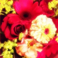 かきこ (@ssr_87) 's Twitter Profile Photo