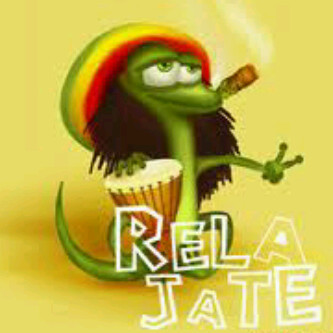 maigualopez's profile picture. 