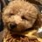 モニャイッヌのアイコン