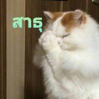 PaayuiS 549 (@paayuis) 's Twitter Profile