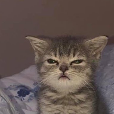 hhhusnasss's profile picture. brain-fried