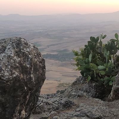 Mo70370891's profile picture. Simpel