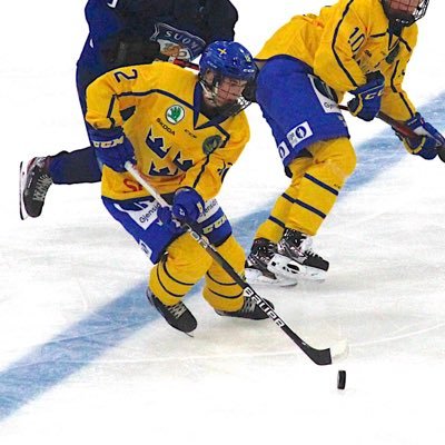 17 år | hockeyspelare | @lhchockey