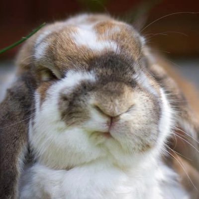 jleo21265's profile picture. 