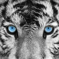 Abah Ben (@abahben3) 's Twitter Profile Photo