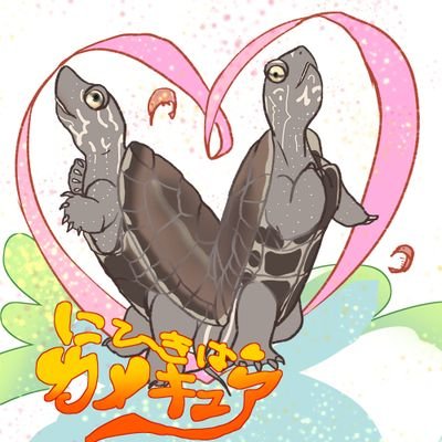 こばと على تويتر おはようございます 水槽を洗って短時間ですが日光浴しました 外は暑くて 心配で30分しないで中に入れてしまいました ゼニガメ クサガメ こばと على تويتر おはようございます 水槽を洗って短時間ですが日光浴しました 外は暑くて 心配で30分しないで中に入れてしまいました ゼニガメ クサガメ