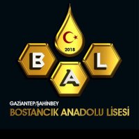 Bostancık Anadolu Lisesi (@lisesibostanc) Twitter profile photo