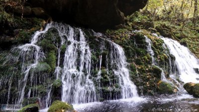 ponyamina's profile picture. エンジェルスと大谷選手、チームメンバーも応援。TVXQも応援