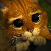 AronguejoC's profile picture. 