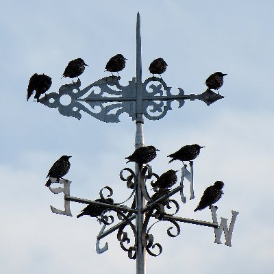 leblancq_f's profile picture. Meteorologist, nephologist, amateur historian
Mostly weather - some cartoons and art
'Don't talk unless you can improve the silence' - Jorge Luis Borges