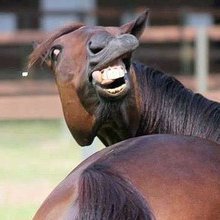 Hellas_Gaming's profile picture. 