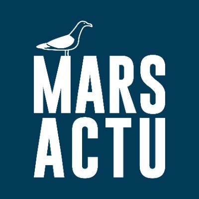 Marsactu Profile Picture