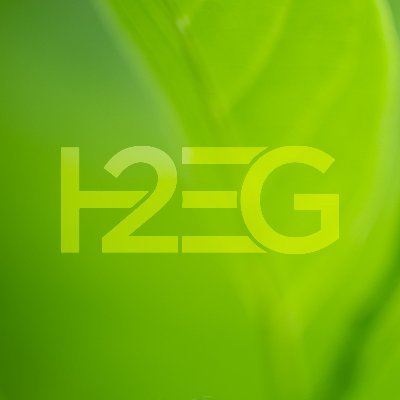 H2EnergyGroup