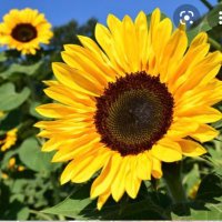 MissReynolds (@reynoldsmiss08) 's Twitter Profile Photo