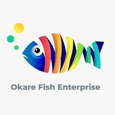 Founder at Okarefish Enterprise | AWS Solutions Architect | Agronomist | Writer