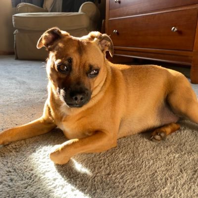 pauljwaters2's profile picture. 