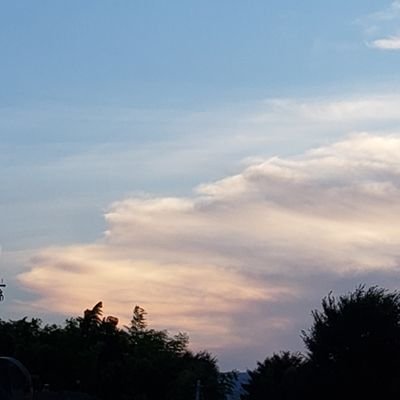 SNSは情報の宝庫。時々呟くけど、何を信じて何を信じないかは各人の自由。リツイートばかりですが、それが、多くの皆さんの気付きと、ささやかな幸せに繋がることを願ってます...
現在、体質改善中。2020年夏から思考も食生活もガラッと変わった世間的には変り者?です