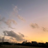 トミタです (@anr4zsit23yzisg) 's Twitter Profile