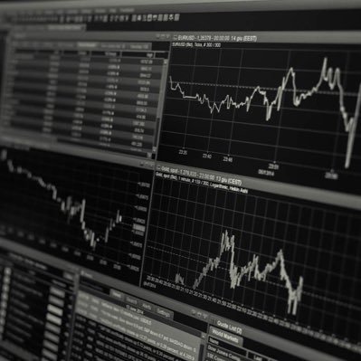 EngSultanB's profile picture. 