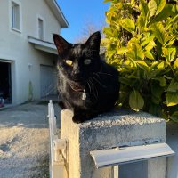 Orlane 💖🐾 (@orlane48654851) 's Twitter Profile