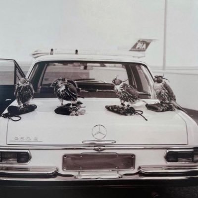 IMoozh's profile picture. يآرب حُسن الرحيل وطيب الأثر