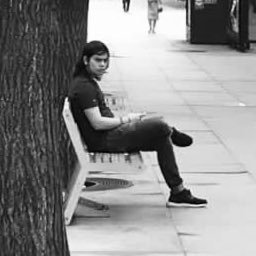 Djajanegara12's profile picture. Give what you can, take what you get.